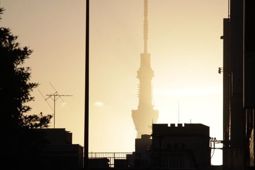 skytree.jpg